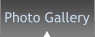 Photo Gallery